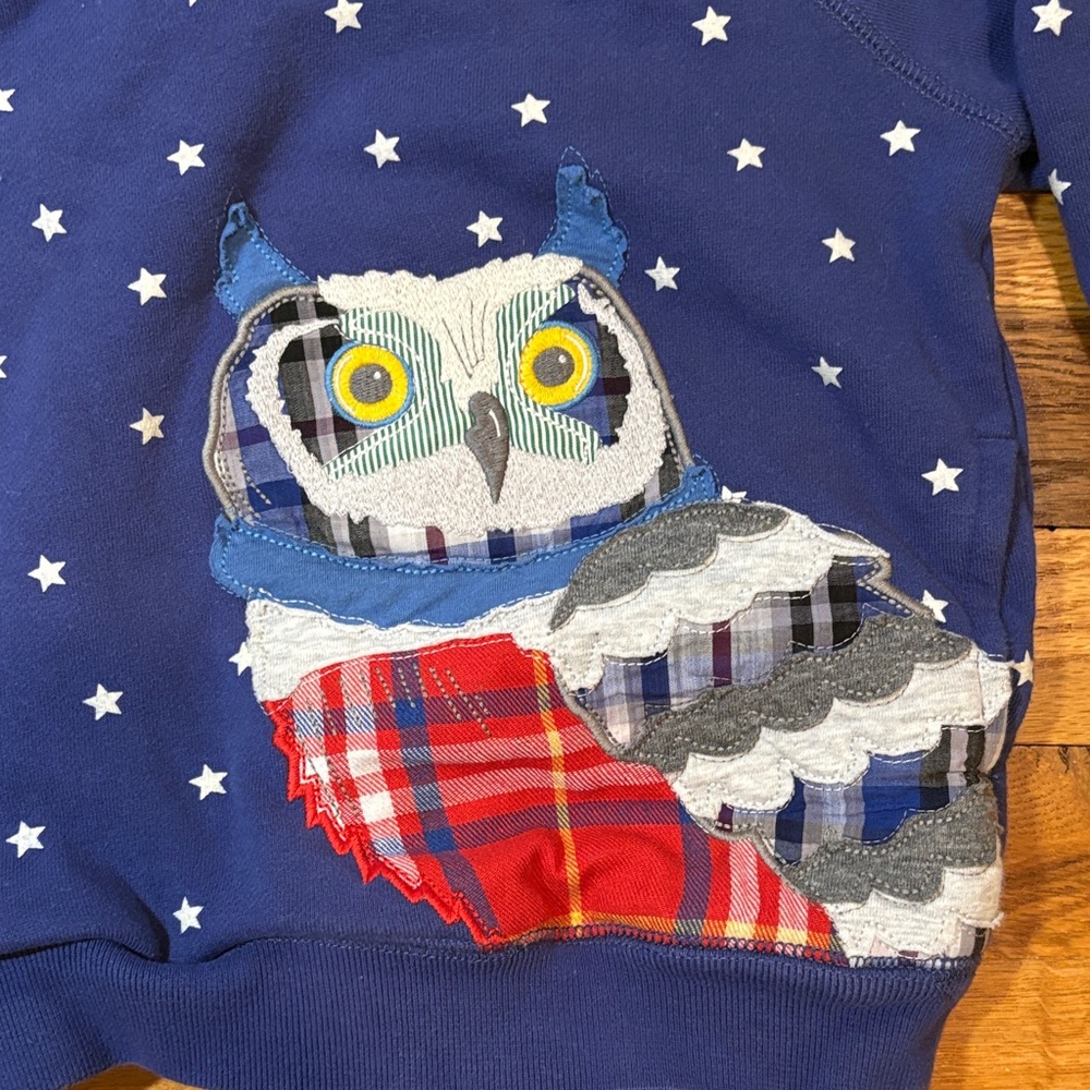 Mini Boden Blue Stars Hoodie with Red Lined Hood and Owl Appliqué - Picture 2 of 7